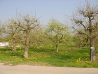 /album/fotogalerie/grundstuck-2-fileminimizer-jpg/